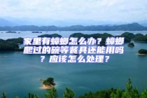 家里有蟑螂怎么辦？蟑螂爬過的碗等餐具還能用嗎？應該怎么處理？