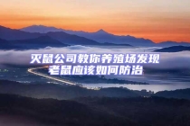 滅鼠公司教你養殖場發現老鼠應該如何防治