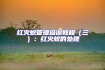 紅火蟻管理培訓教程（三）：紅火蟻的處理