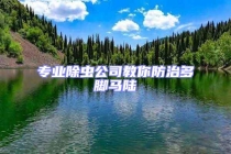 專(zhuān)業(yè)除蟲(chóng)公司教你防治多腳馬陸