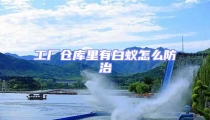 工廠倉庫里有白蟻怎么防治