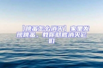 【跳蚤怎么消滅】家里發(fā)現(xiàn)跳蚤，教你徹底消滅它們