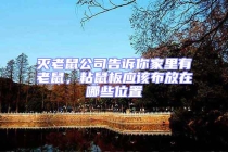 滅老鼠公司告訴你家里有老鼠，粘鼠板應該布放在哪些位置