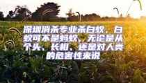 深圳消殺專業殺白蟻，白蟻可不是螞蟻，無論是從個頭、長相、還是對人類的危害性來說