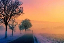 為什么蚊子永遠不會被雨砸死？別被孩子問住了