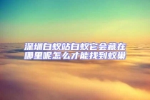 深圳白蟻站白蟻它會藏在哪里呢怎么才能找到蟻巢