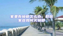 家里有蟑螂怎么辦，教你家庭如何滅蟑螂