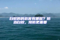 白蟻的的危害有哪些？防治白蟻，預(yù)防更重要