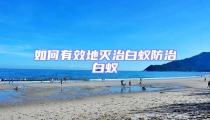 如何有效地滅治白蟻防治白蟻