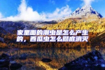 家里面的潮蟲是怎么產(chǎn)生的，西瓜蟲怎么徹底消滅