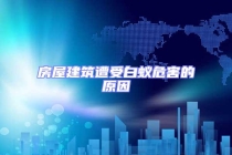 房屋建筑遭受白蟻危害的原因