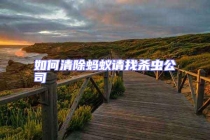 如何清除螞蟻請(qǐng)找殺蟲公司