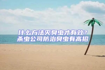 什么方法滅臭蟲才有效？殺蟲公司防治臭蟲有高招