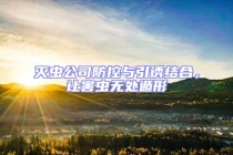 滅蟲公司防控與引誘結(jié)合，讓害蟲無處遁形