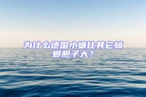 為什么德國(guó)小蠊比其它蟑螂膽子大？