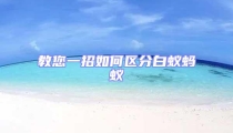 教您一招如何區分白蟻螞蟻