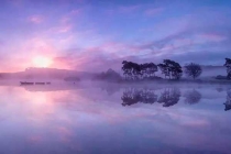 蚊類的化學防治方法是什么？