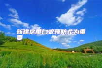 新建房屋白蟻預防尤為重要