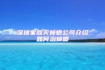 深圳家庭滅蟑螂公司介紹如何治蟑螂