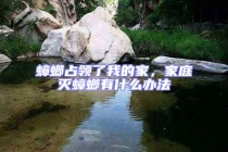 蟑螂占領了我的家，家庭滅蟑螂有什么辦法