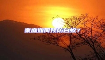 家庭如何預(yù)防白蟻？