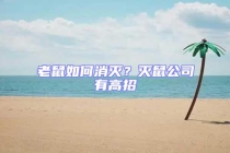 老鼠如何消滅？滅鼠公司有高招