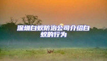 深圳白蟻防治公司介紹白蟻的行為