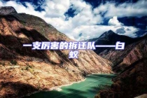 一支厲害的拆遷隊——白蟻