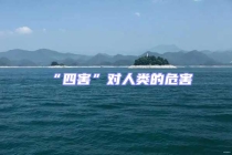 “四害”對(duì)人類的危害