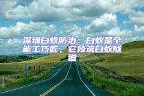 深圳白蟻防治：白蟻是個(gè)能工巧匠，它修筑白蟻隧道