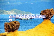 在車里殺蟑螂差點危害生命