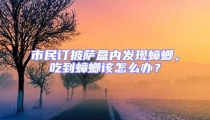 市民訂披薩盒內發現蟑螂，吃到蟑螂該怎么辦？