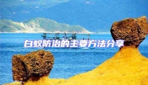 白蟻防治的主要方法分享