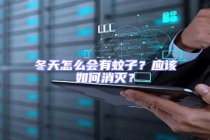 冬天怎么會有蚊子？應該如何消滅？