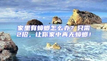家里有蟑螂怎么辦？只需2招，讓你家中再無蟑螂！