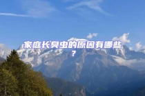 家庭長臭蟲的原因有哪些？