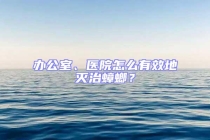 辦公室、醫院怎么有效地滅治蟑螂？