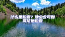 什么是粉蠹？除蟲公司如何防治粉蠹